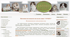 Desktop Screenshot of color-point.ru